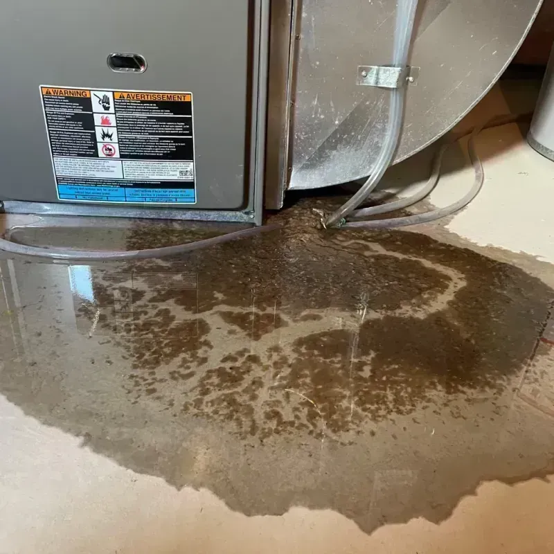 Appliance Leak Cleanup in Griggsville, IL